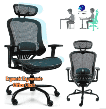Ergousit Ergonomic Office Chair